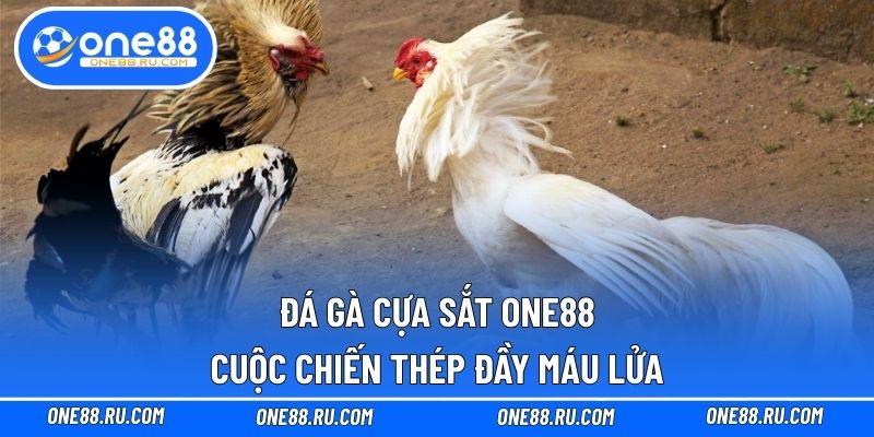 Đá gà cựa sắt ONE88